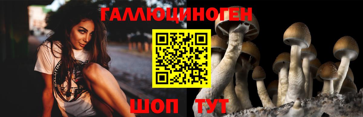 Одинцово  продажа наркотиков  Вход с VPN  Псилоцибиновые грибы мухоморы 